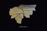 藏品(陶罐)的圖片